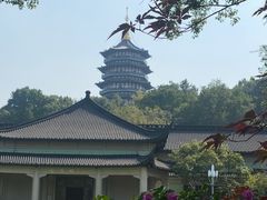 -浙江西子宾馆·牡丹厅