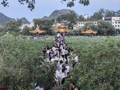 -安龙招堤