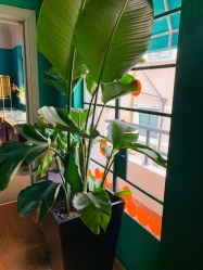 -OOAK设计师品牌概念店(新乐路店)