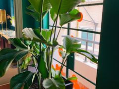 -OOAK设计师品牌概念店(新乐路店)