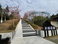 -盈香心动乐园