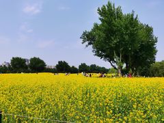 -长白岛森林公园