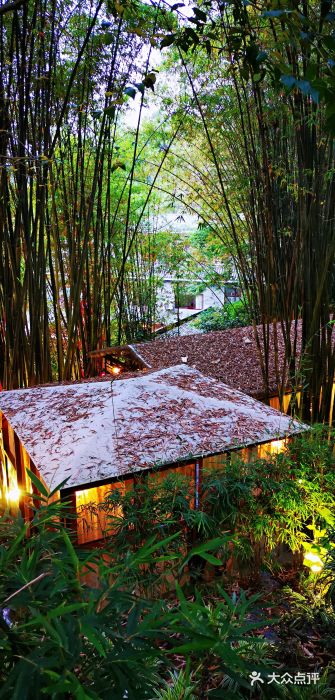 竹海听涛生态山庄-图片-崇州市美食-大众点评网