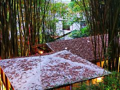 -竹海听涛生态山庄