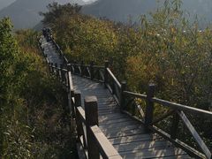 -大岭沟猕猴桃谷风景区