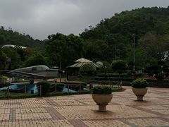 -石排湾郊野公园