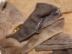 -成渝龙火锅(都江堰店)