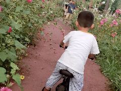 -洨河生态公园