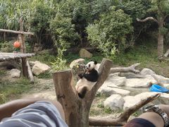 -宁波野生动物园
