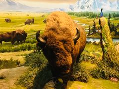 -陕西自然博物馆