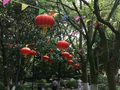-瀛洲公园
