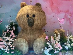 -洋洋广场(南街店)