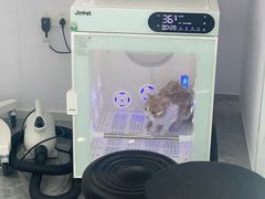-爱洗澡的猫(望京店)
