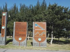 -蒲河岛湿地公园