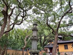 -普陀山风景名胜区-法雨禅寺