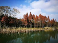 -渤公岛生态公园