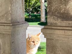 -紫金宾馆1910紫色勋章