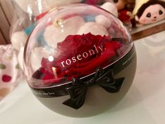 -ROSEONLY诺誓(青岛万象城店)