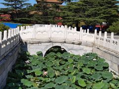 -北京市劳动人民文化宫(太庙)