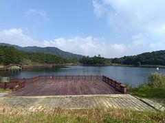 -海南热带雨林国家公园吊罗山景区