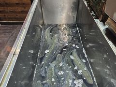 -黑鱼郭我家酸菜鱼(摩尔广场店)