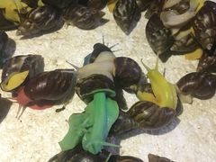 -华声天桥民俗文化园