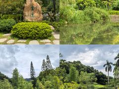 -云溪植物园