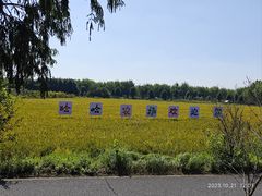 -广富林郊野公园