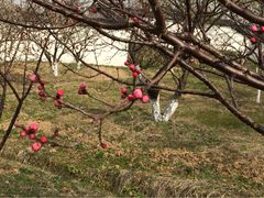 iphone_upload_pic-林屋洞景区