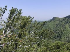 -少华山国家森林公园