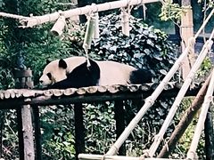 -云南野生动物园