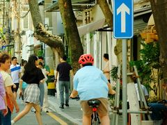 -溪岸路花鸟市场