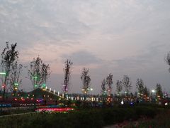 -枫林花海