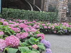 -J Create城市露营咖啡·简餐·宠物(上海动物园店)