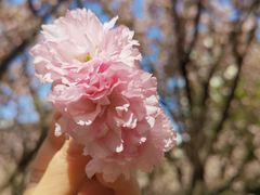 -苏州河梦清园环保主题公园