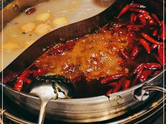 -领鲜天下·焗海鲜·花胶鸡(天目里店)
