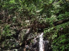 -龙岩森林水乡景区