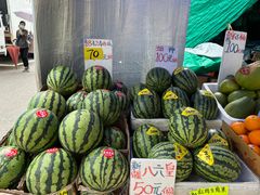 -油麻地果栏