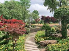 -铁山坪森林公园