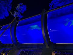 -花水湾第一村温泉大酒店