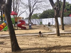 -海上田园