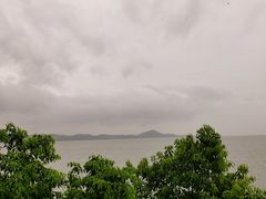 -上海市保健医疗中心