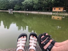 -武陵山森林公园