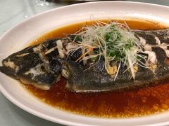 清蒸龍舌魚-榕树下海鲜馆(坪山路店)