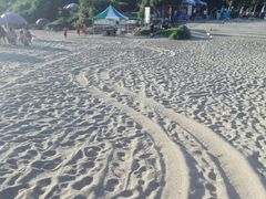 -白沙湾海滩