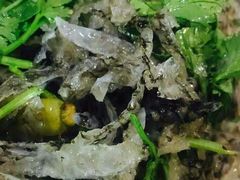 -渡海小渔村.老辈日照菜