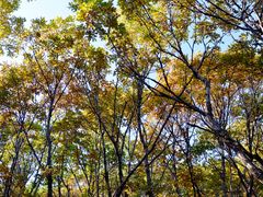 -白草畔自然风景区