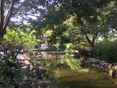 -成都市活水公园