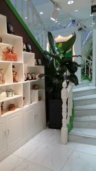 -艺米阳光Hair Salon