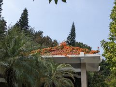 -东风公园